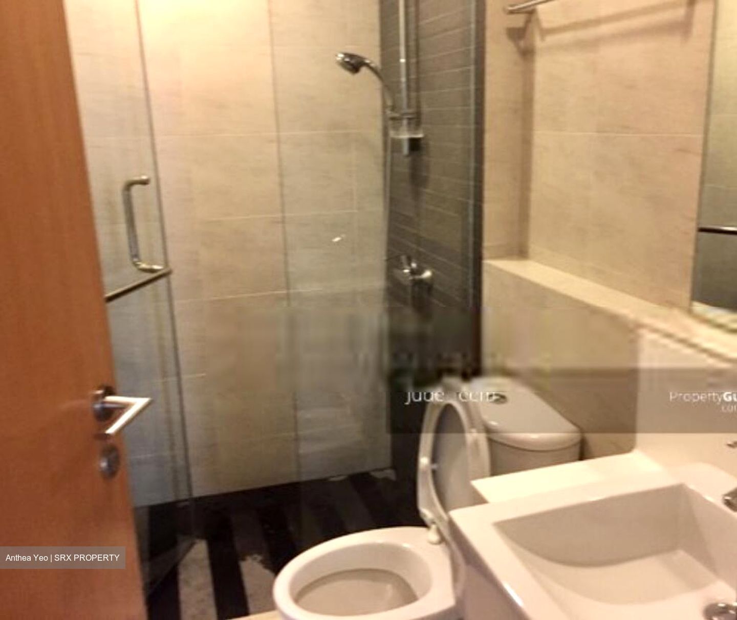 Park Infinia At Wee Nam (D11), Condominium #575342171